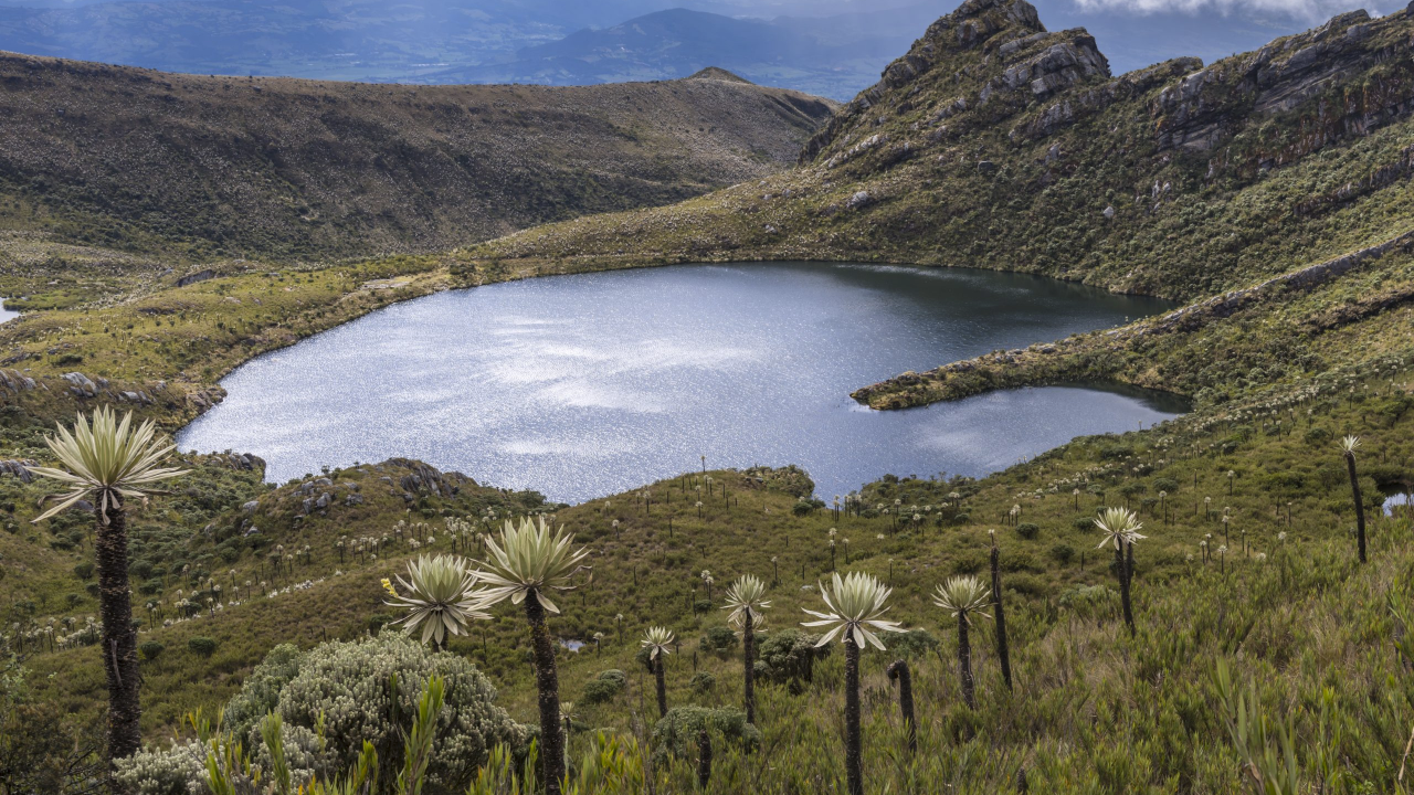 Derecho al agua