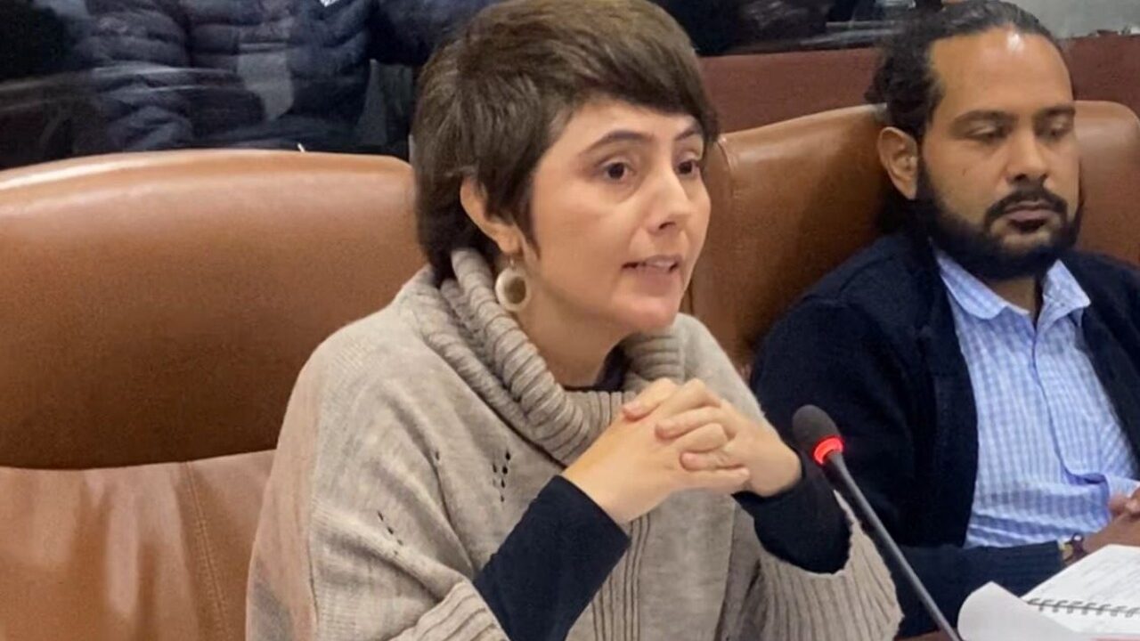 Congresista Carolina Giraldo Botero expuso ante la CIDH cifras de violencias contra mujeres y sus preocupaciones frente a la Paz Total